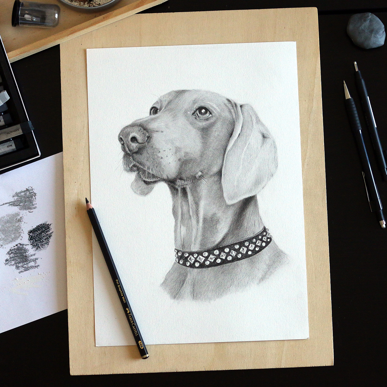Finished drawing of a dog portrait by the artist Lisa Albrecht